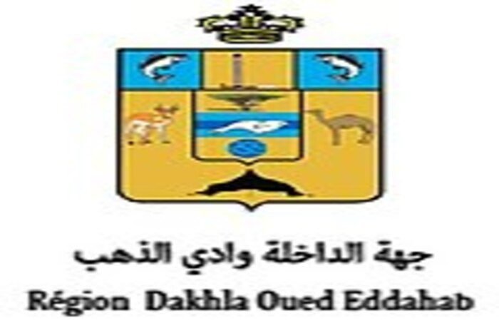Logo-conseil-dakhla